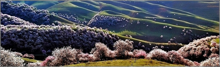 ɽҰӻ