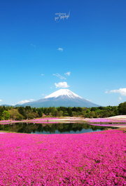 ʿɽHI JAPAN