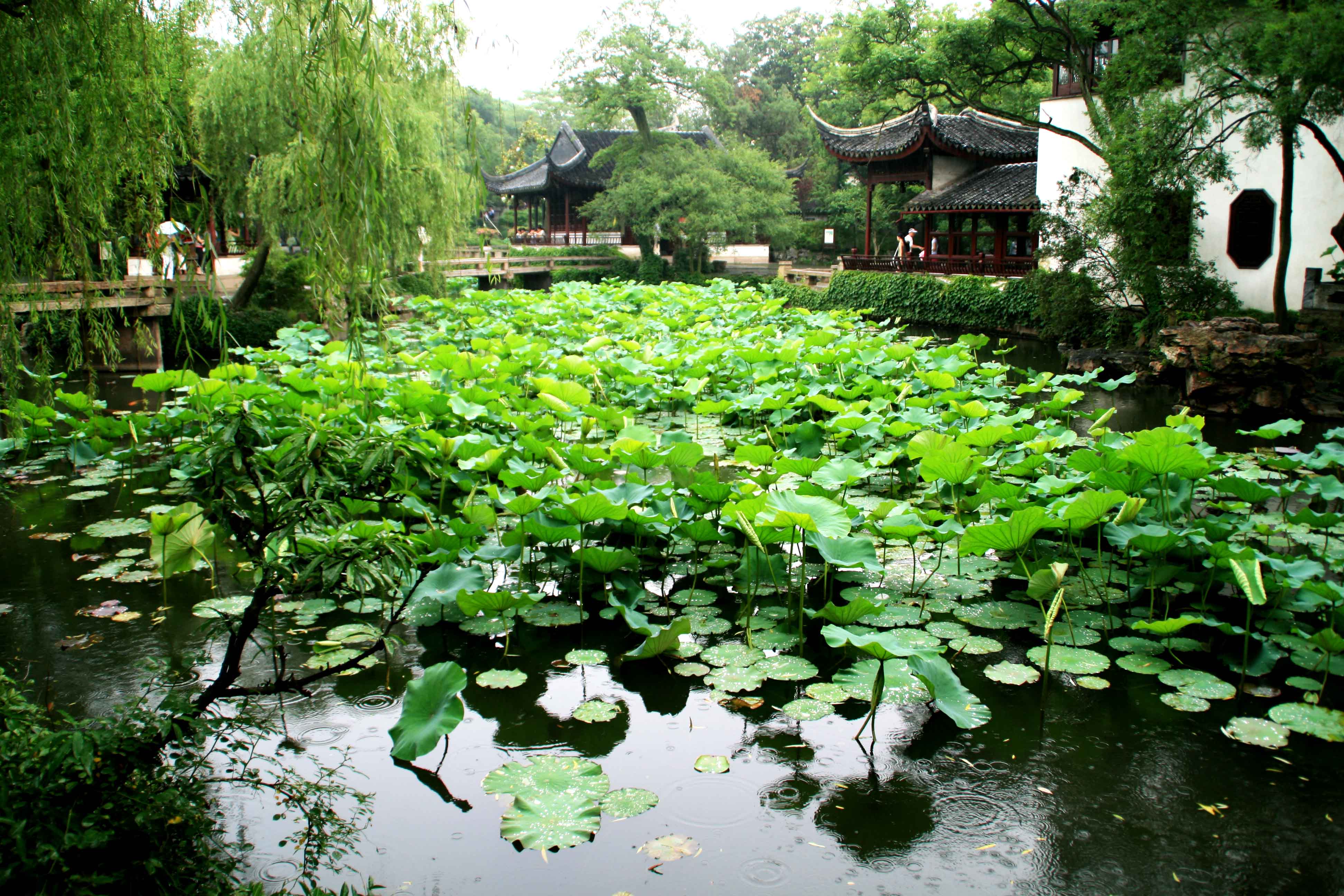 "荷"为拙政园