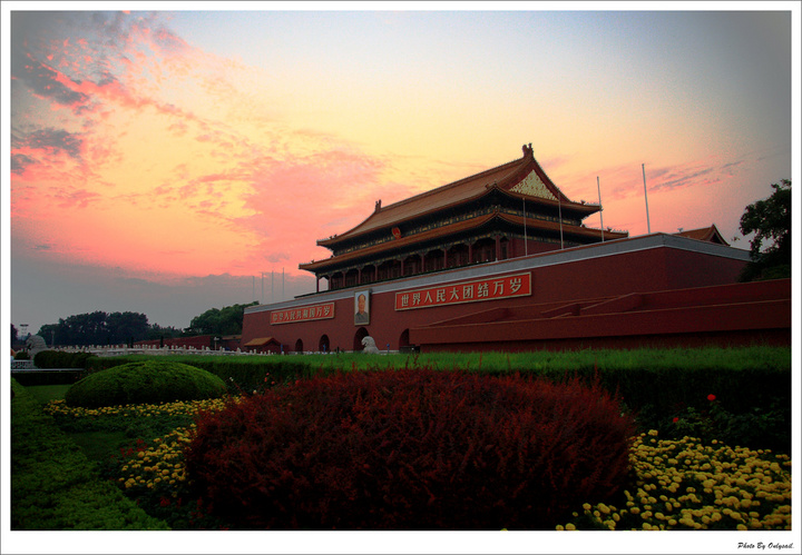 찲ŵĻԻ