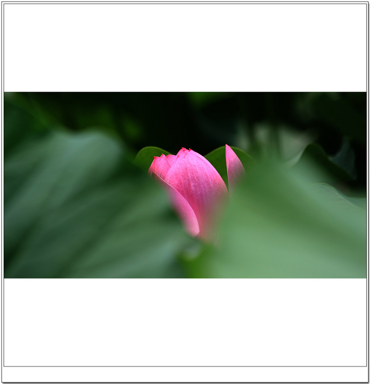 ɻ---ƪ