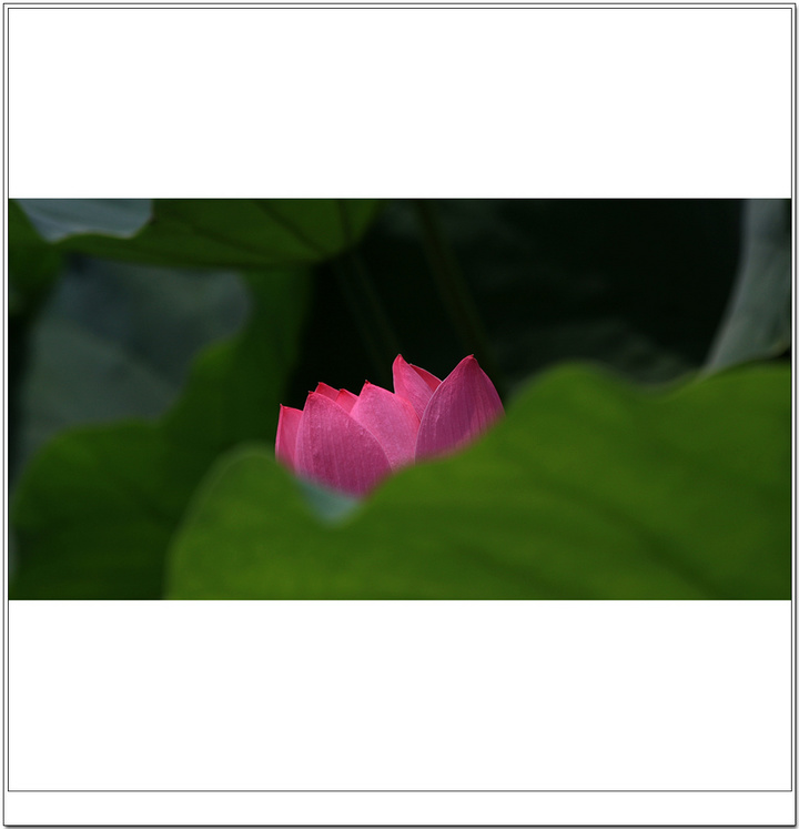 ɻ---ƪ