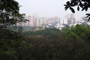 ֮
