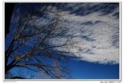 泸沽湖冬日-那树,那云,那水(1)