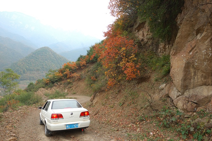 2007ݺҶ