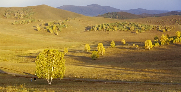 2007Сʽ