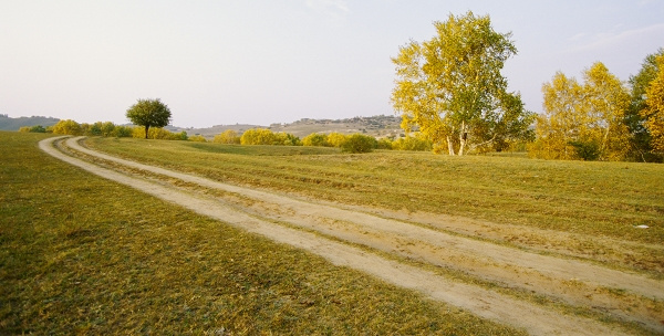 2007Сʽ