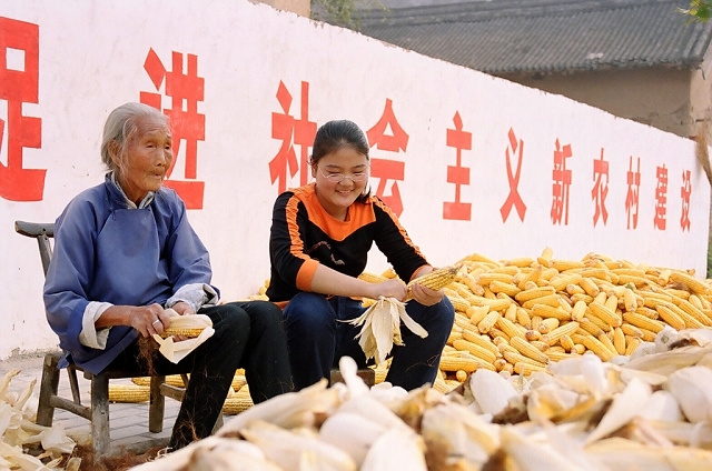 յļڣ2006 ǣ