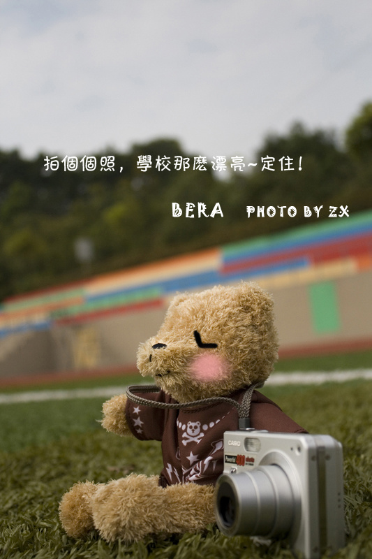 BEAR