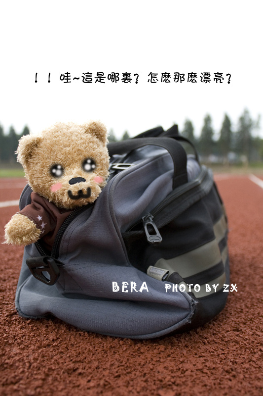 BEAR