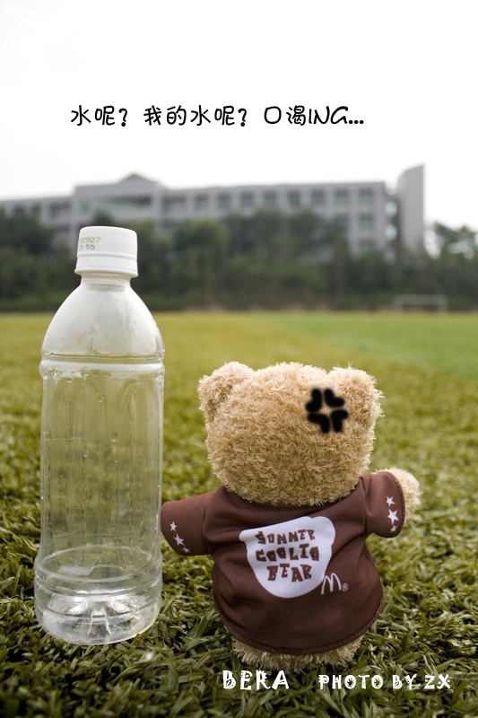 BEAR