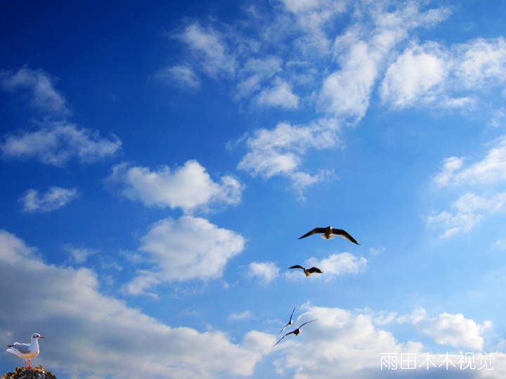 ൺ.IN THE SKY
