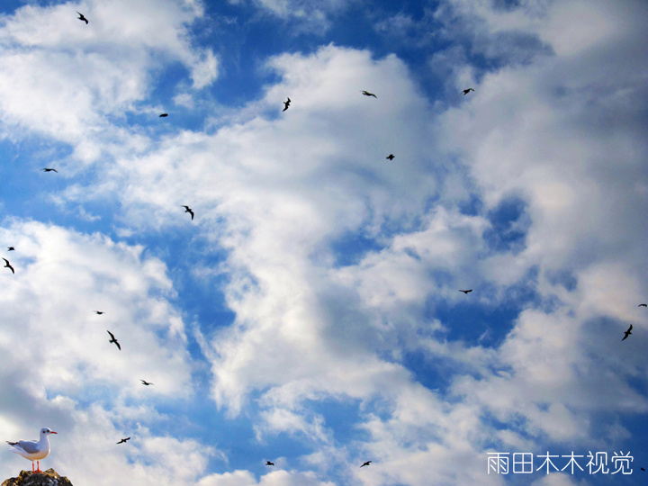 ൺ.IN THE SKY