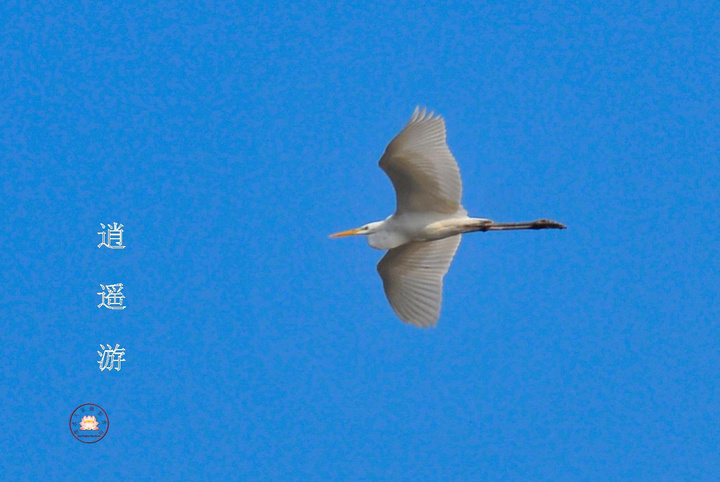 ң