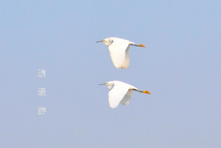 ң