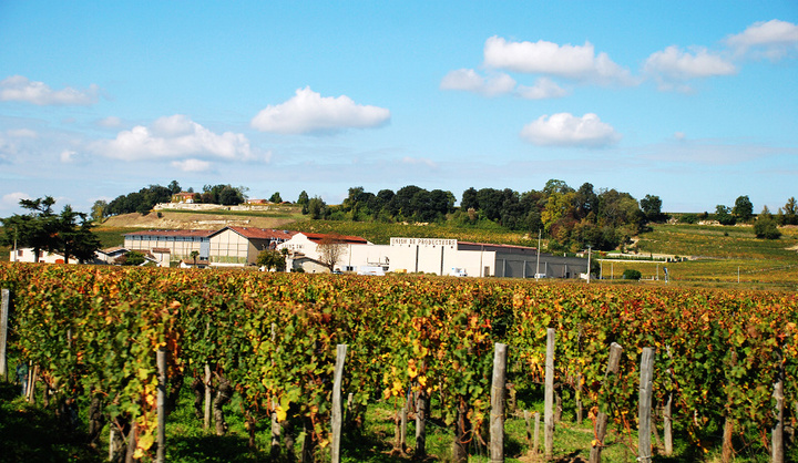 saint-emilion