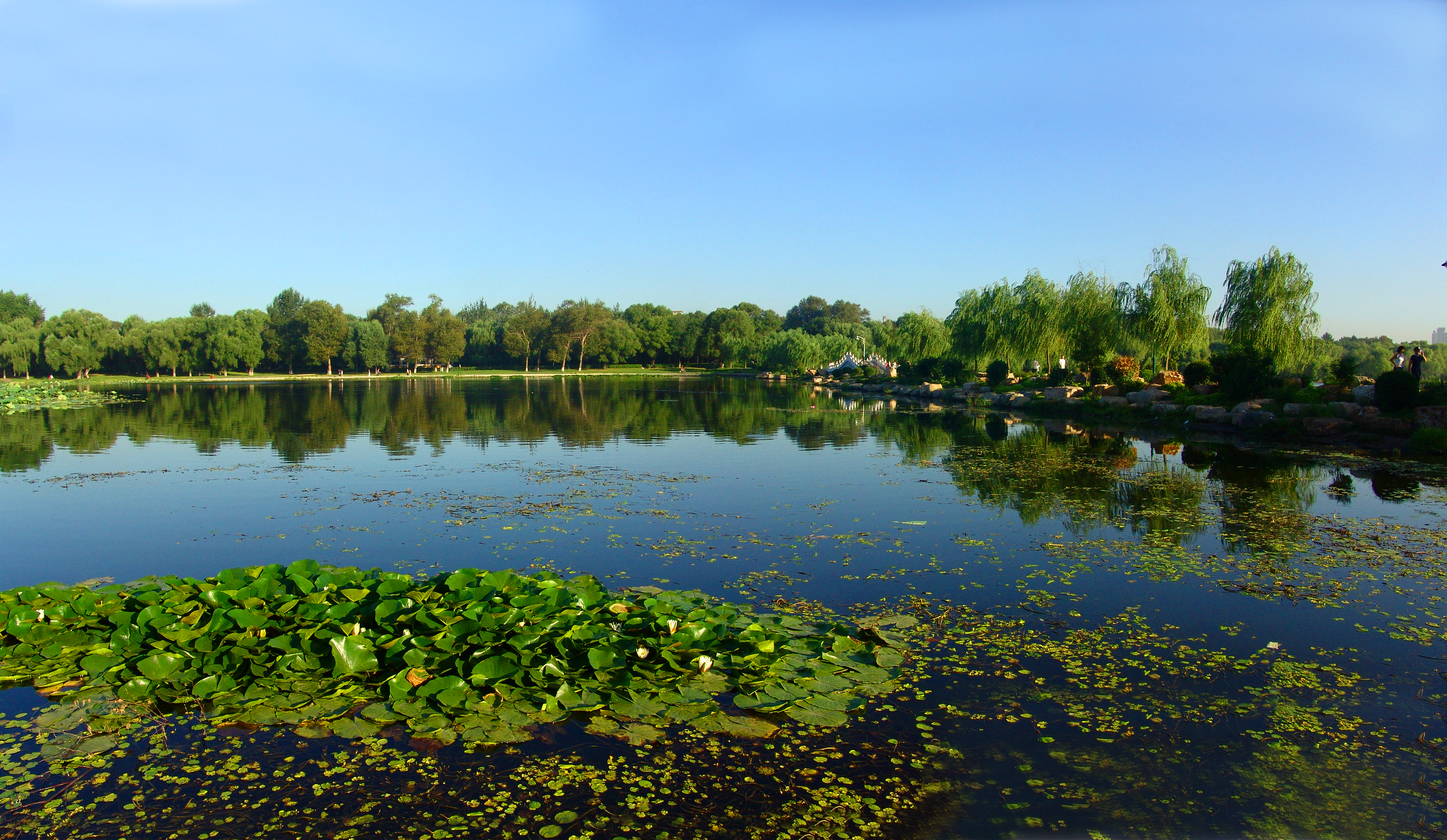 【請到這裡來看春天】南湖公園風光