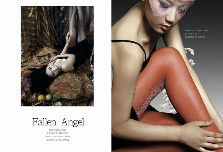 Fallen Angel   39ڷװƬ