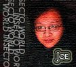 insecto_joe