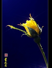 ů-----ڵ19¼չͼеС