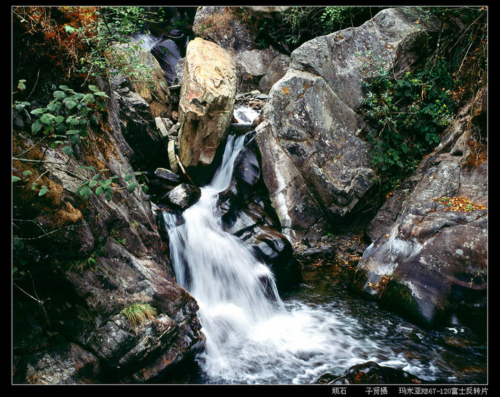 лƬ֮