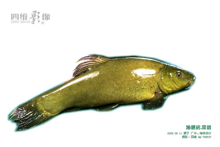 ŷ.ףһ
