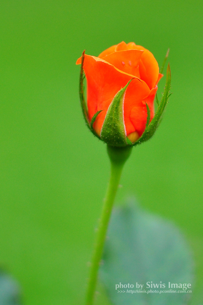 ֮D90+35f1.8