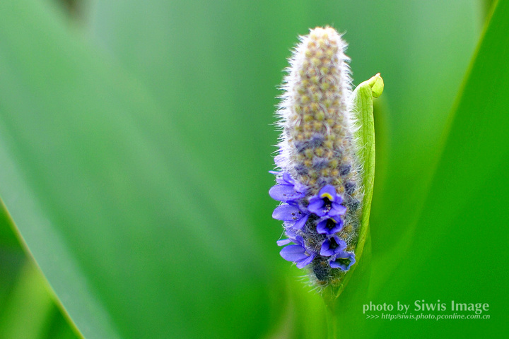 ֮D90+35f1.8