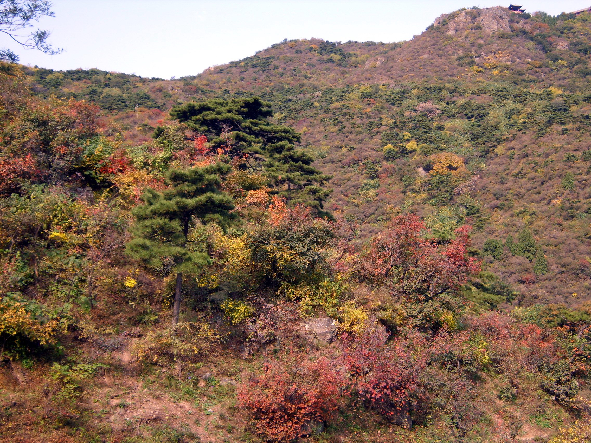 【香山紅葉攝影圖片】北京香山公園風光攝影_太平洋電腦網攝影部落