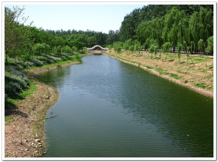 邯郸市石桥湿地公园图片