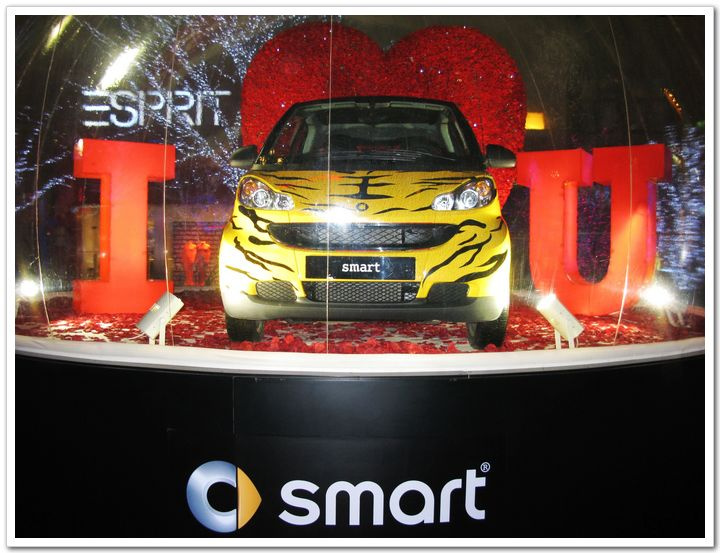 Smart iN LovE...