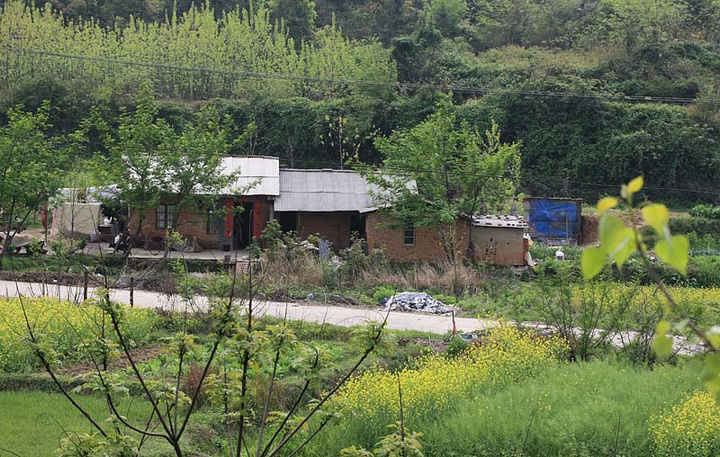 ֮1