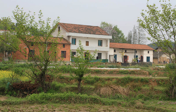 ֮1
