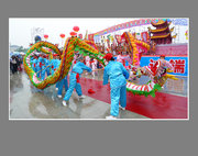 2009紫ͳĻڼʵ