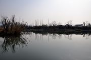 杭州西溪湿地植物园杂片