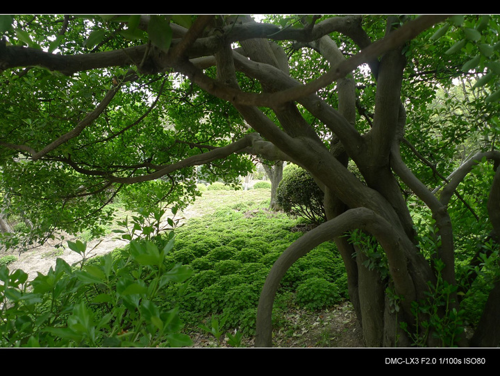 Ϻݷׯ԰2010֮