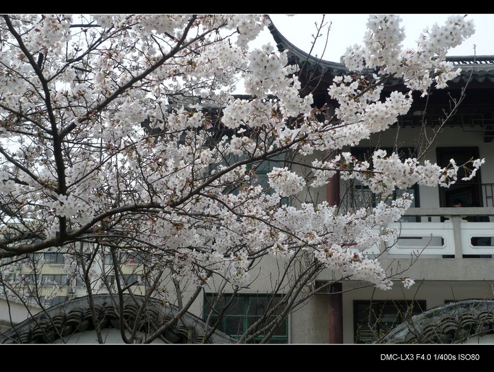 Ϻݷׯ԰2010֮
