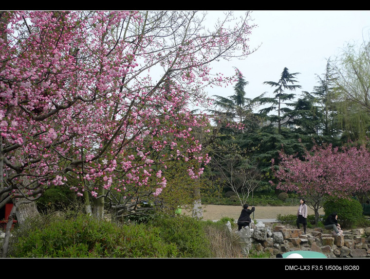 Ϻݷׯ԰2010֮