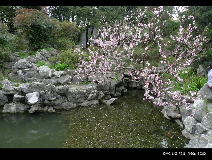 Ϻݷׯ԰2010֮