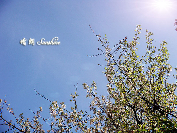  sunshine