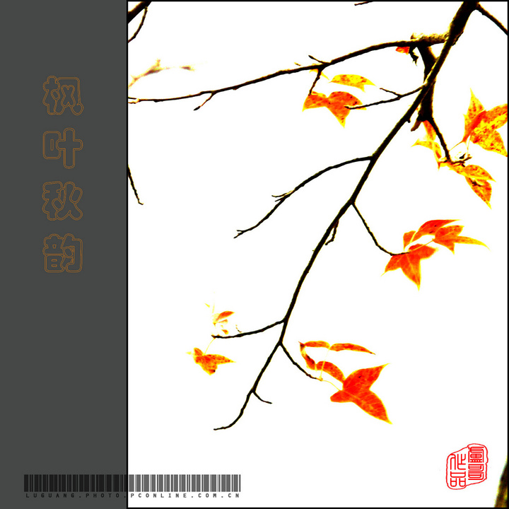 Ҷ