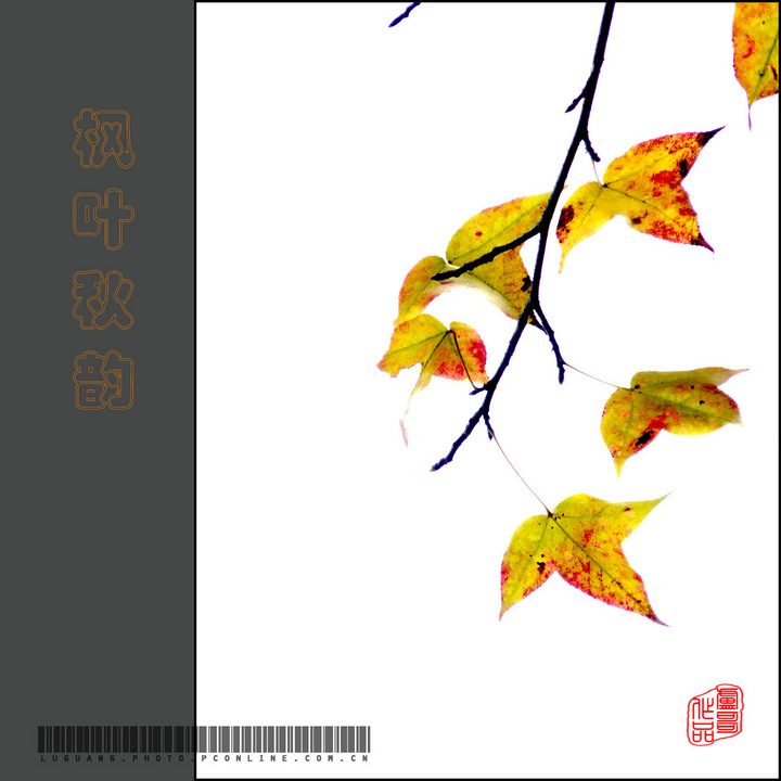 Ҷ
