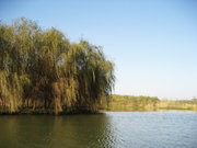 溱湖国家湿地公园 续3
