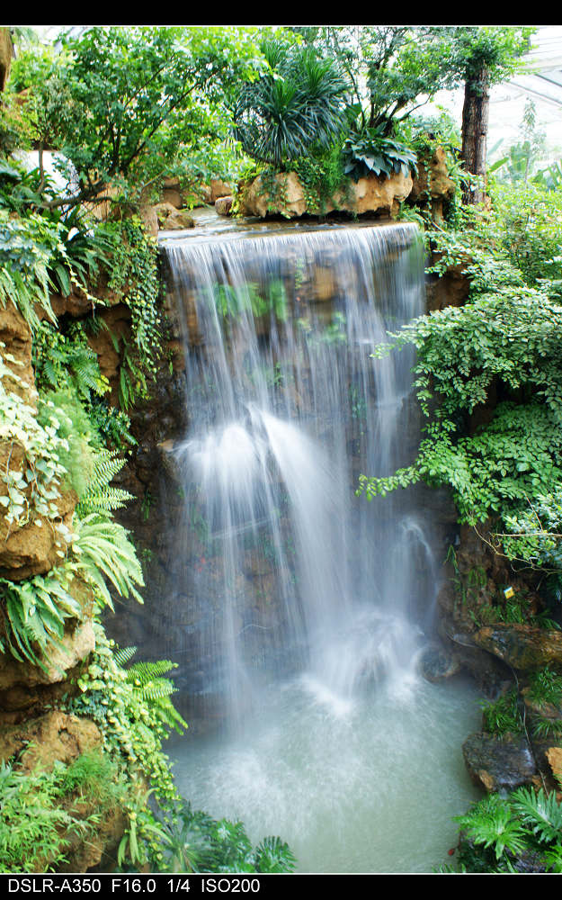 广州的伊甸园-华南植物园热带雨林温室群景区
