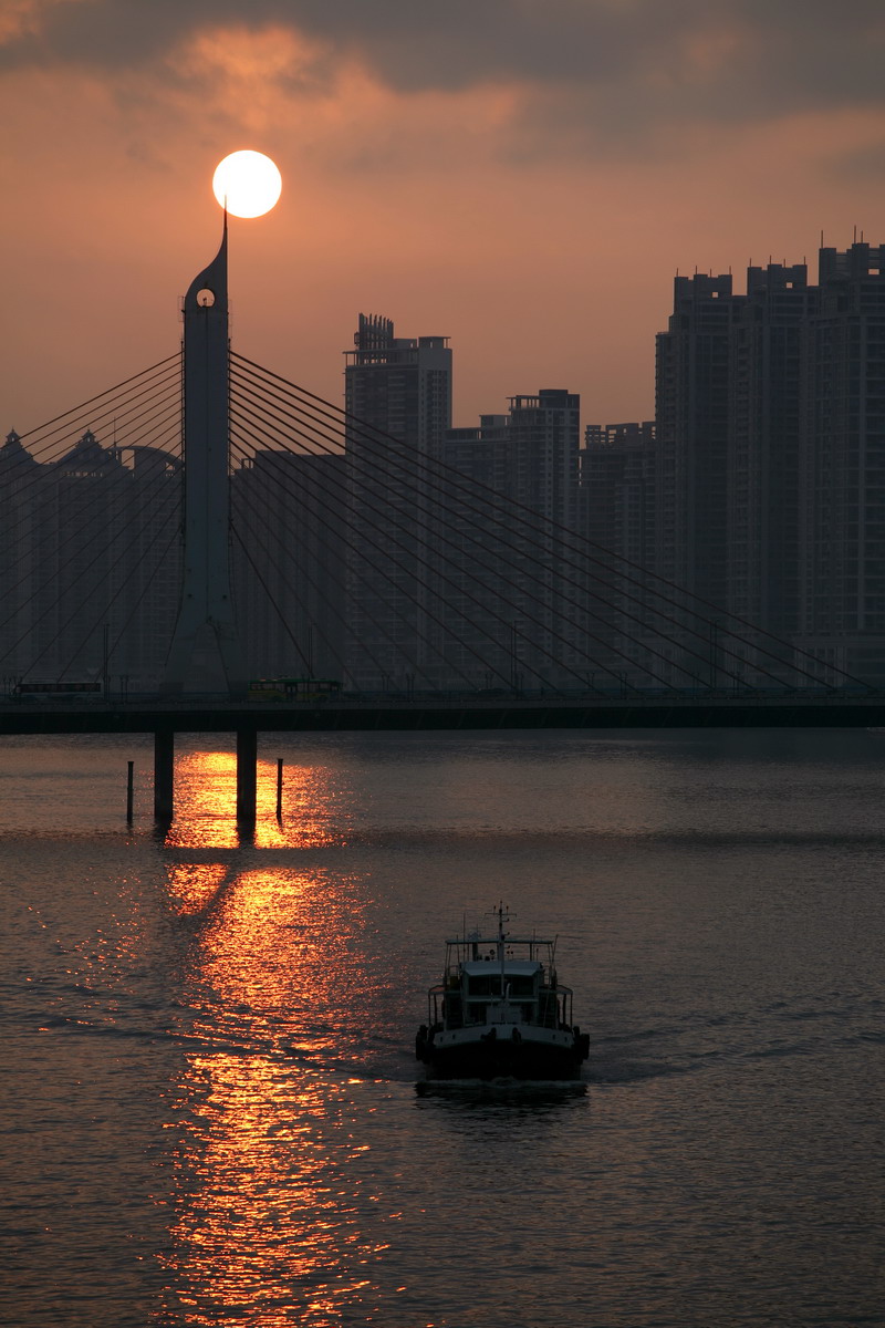 广州早上的风景图片图片