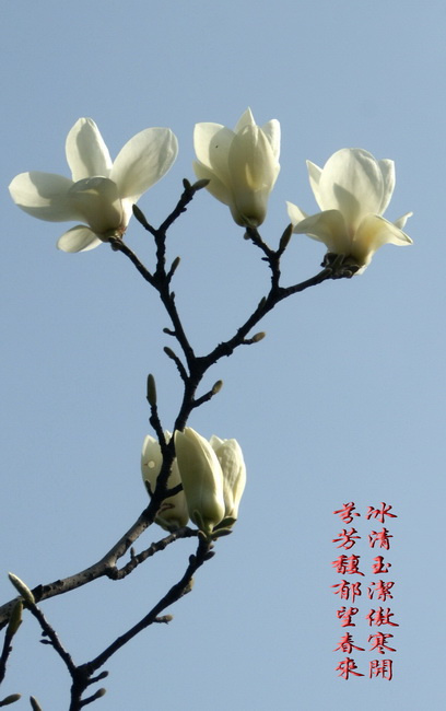 Ӧ֮㡪 