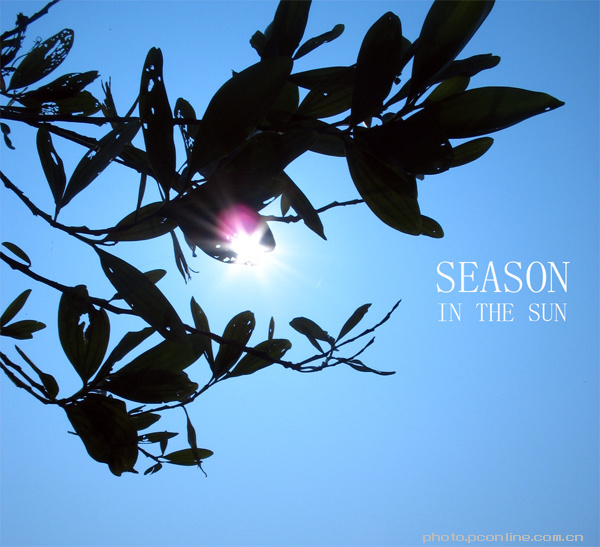 season in the sun