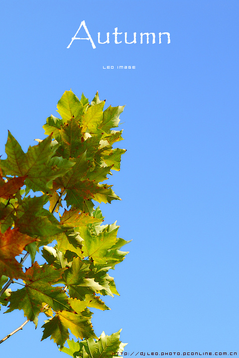 Autumn