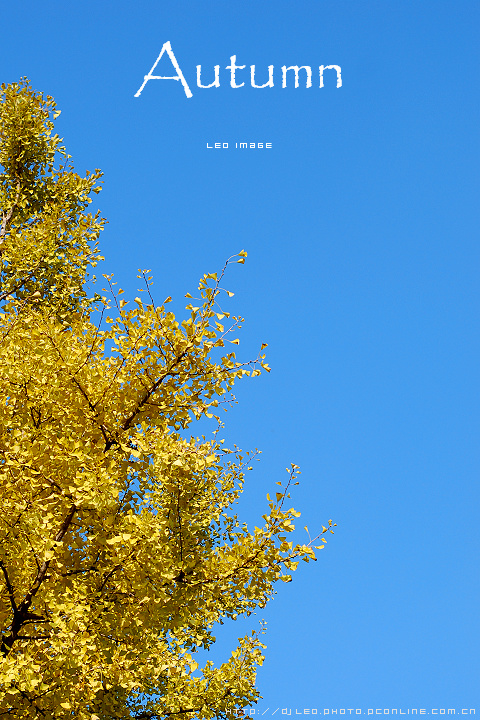 Autumn
