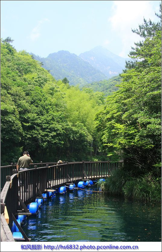 【原始,神秘,野性,綠色牯牛降攝影圖片】牯牛降風景區風光攝影_走進大